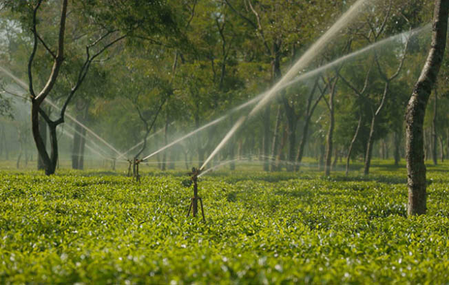 Narayanpur